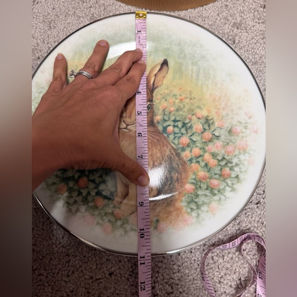 Pottery Barn Easter Rabbit Dinner Plates
Set of Four Cottagecore Shabby chic - Picture 5 of 5